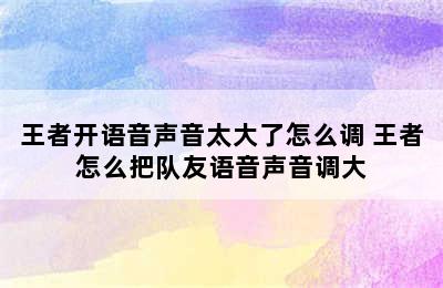 王者开语音声音太大了怎么调 王者怎么把队友语音声音调大